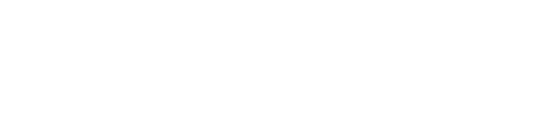logoipsum 221