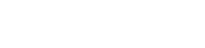 logoipsum 311