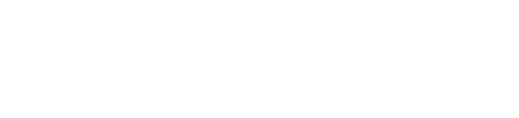 logoipsum 317